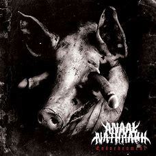 Album cover for ANAAL NATHRAKH - ENDARKENMENT (VINYL LP), featuring a gritty, close-up image of a pig's head with dark and grimy textures. This is a