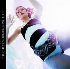 A woman with pink hair in a rare and collectible black and white swimsuit diving into water, shot from an underwater perspective wearing CHECKS - HUNTING WHALES (PREOWNED CD).